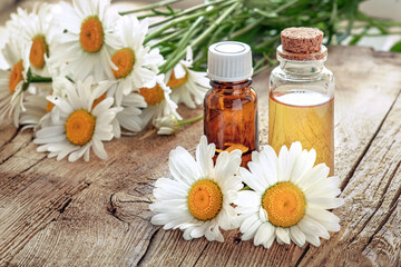 chamomile essence and oil on wooden background, natural ingredients for skin care, wildflowers bouquet, glass jars with natural oil