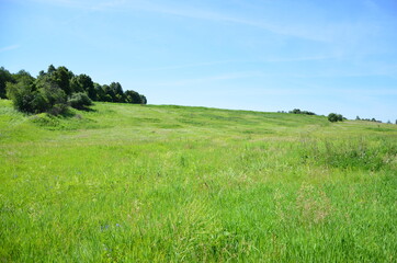 green field and blue sky