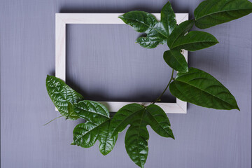 Exotic tropical leaves with wooden frame on grey background. Flat lay.