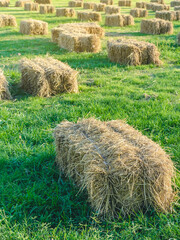 Seats and tables made from straw bales for event and party laid on lawn yard. Straws stubble decorated for sitting in the countryside. Furniture made of pallets and straw bales. Selective focus.
