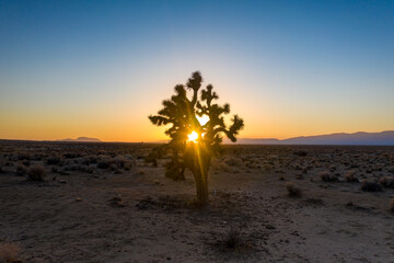 sunset in the desert