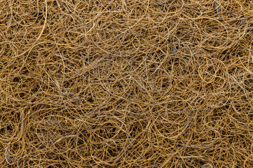 coconut fiber texture natural background close up