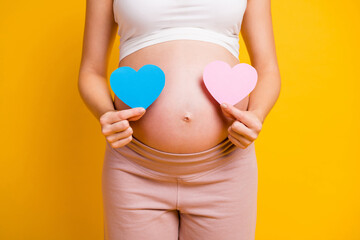 Cropped photo of sweet woman belly expecting child wear white outfit holding pink blue hearts isolated yellow color background