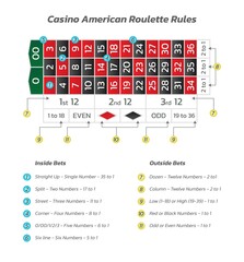 Casino american roulette rules. Infographics of playing and payout of game. Vector illustration isolated on white background.