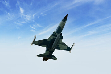 Obraz premium fighter jet