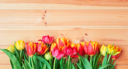 Colorful spring tulip flowers as border on wooden background