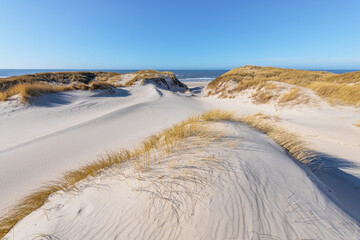 Sand dunes on the west coast of Denmark near Esbjerg.