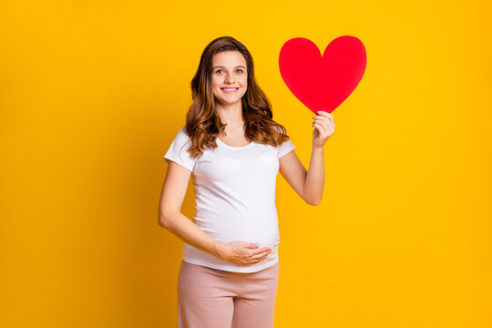 Photo of adorable lady waiting baby dressed white clothes tummy holding big red paper heart isolated yellow color background