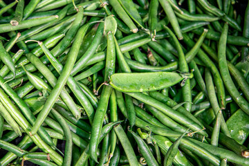 fresh green beans on the market