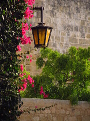 Stara piękna latarnia przy zarośniętej ścianie © vofchok