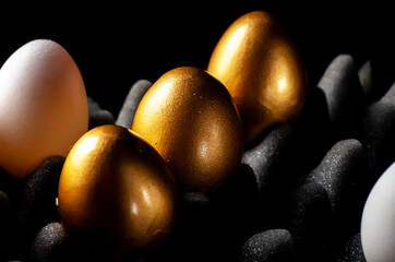 Golden eggs. Golden and white eggs on an eggshell foam. Popular saying: the goose that lays the golden eggs
