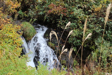 秋の福島県の磐梯山のゴールドライン