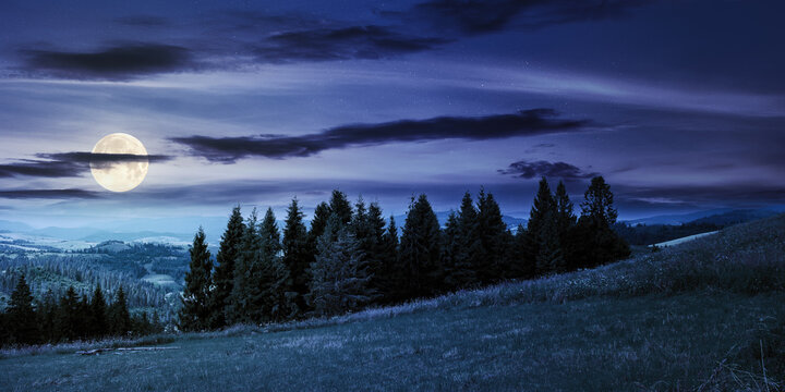 forest on the grassy meadow in mountains at night. beautiful countryside landscape in full moon light. fluffy clouds on the blue sky above the distant borzhava ridge. summer adventures in carpathians