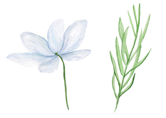Watercolor set of plant elements blue flower and twigs. Template for decorating designs and illustrations.