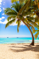 Fototapeta na wymiar summer holidays background - sunny tropical paradise beach with white sand and palms