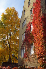 Herbst in Nürnberg