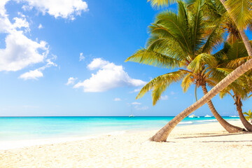 Naklejka na ściany i meble summer holidays background - sunny tropical paradise beach with white sand and palms