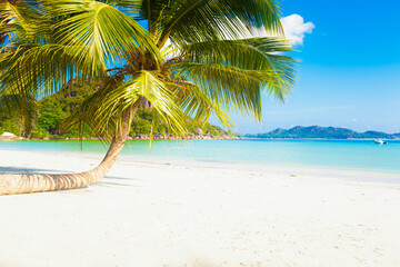 summer holidays background  - sunny tropical paradise beach with white sand and palms