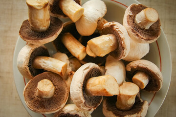 background of fresh whole mushrooms, closeup