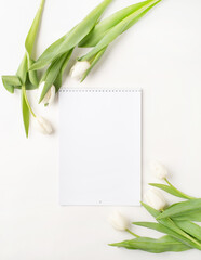 Top view of blank calendar with white tulips on white background