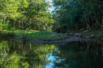 Lago natural verde tranquilo en una mañana fresca en salto pa´i colonia independencia paraguay