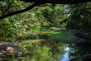 Lago natural verde tranquilo en una mañana fresca en salto pa´i colonia independencia paraguay