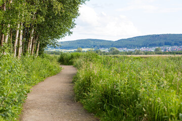Fototapeta na wymiar Wanderweg im Hiller Torfmoor, Gemeinde Hille, Norddeutschland