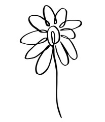 single vector illustration of a flower. Line art, doodle