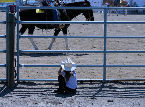 Horse Show: Youngster has a ringside seat to watch the animals in the fairground arena.