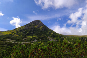 The majestic Carpathians in all the peace and quiet, the beauty and grandeur of the Ukrainian mountains.