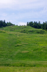 Obraz premium large grassy mountain hill with blue sky and trees in summer with copy space