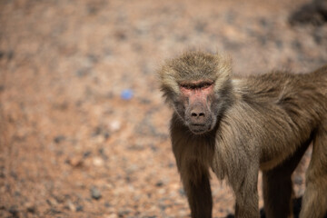 Are you looking at me?!