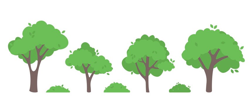 Green trees flat vector illustration. Beautiful green leaves isolated on white.
