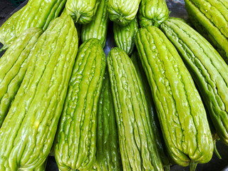 Pile of green bitter melon in the market