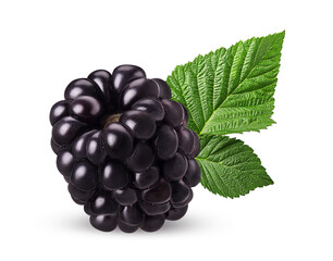 Ripe blackberry with green leaf