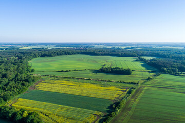 Fototapeta na wymiar Green and yellow farmland and meadows pictured from a drone. Rural areas on a beautiful and sunny summer day.