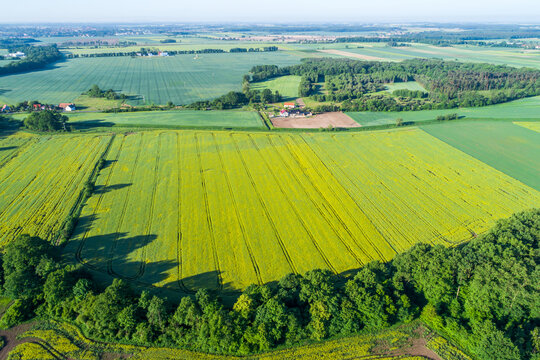 Different shades of green and yellow covering farmland and meadows in a rural landscape from a drone.