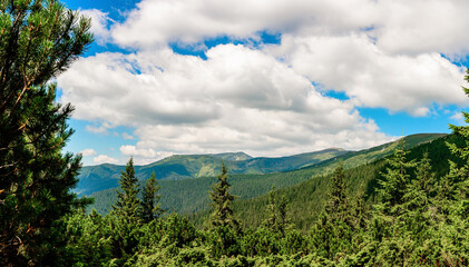 Fototapeta premium Panoramic view of the Montenegrin ridge, picturesque landscapes of the Ukrainian Carpathians.