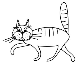 A funny domestic cat is hand-drawn with a black line on a white background. The cat walks with its tail up.