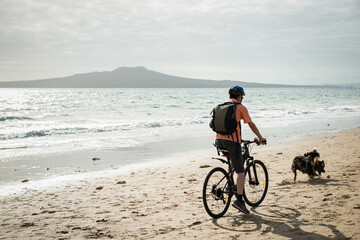 Fototapeta na wymiar A man cycling on the Milford beach with Rangitoto Island in the distance. A dog chasing the ball suddenly running in front of the cyclist.