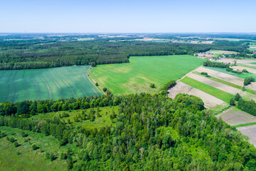 Fototapeta na wymiar The rural landscape in the picture from the drone. Green farmland surrounded by forests. 