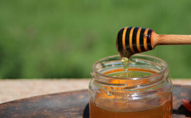 natural honey on the background of a green field. Natural dessert.