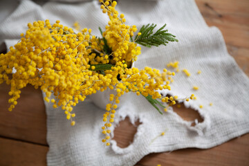 Branch of yellow mimosa on white fabric top view