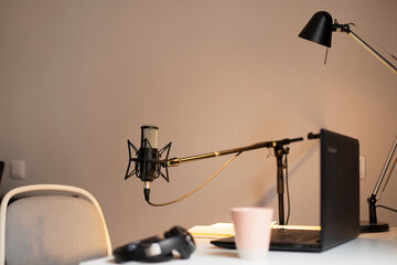 Condenser microphone for streaming or podcasting with quality sound