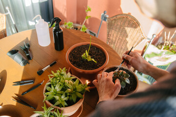 Hombre joven caucásico cuidando varias de sus plantas en la terraza con variedad de herramientas...