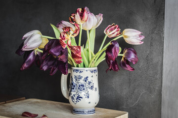 Tulip blooms fading, smooth texture, on a gray background
