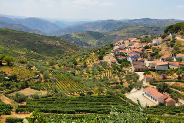 Fototapeta na wymiar Scenic view of Alto Douro Vinhateiro, Portugal