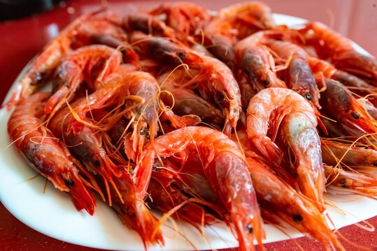 Plato de gambas mirando hacia abajo. Especie llamada Gamba Roja de Garrucha, Almer&iacute;a, Andaluc&iacute;a; Espa&ntilde;a
