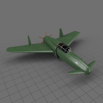 Canard airplane flight