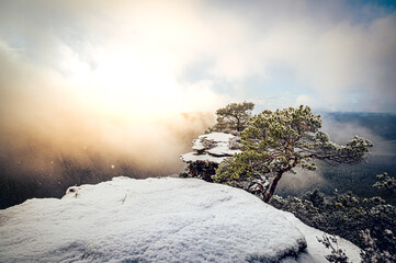 Schnee, Eis und Nebel auf einem Felsen im Pfälzerwald